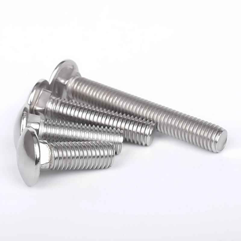 Boulon de carrosserie en acier inoxydable, boulon à tête ronde et à col carré